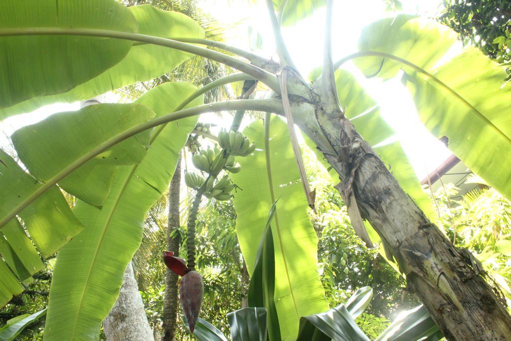 Dionis Villa Unawatuna Bagian luar foto